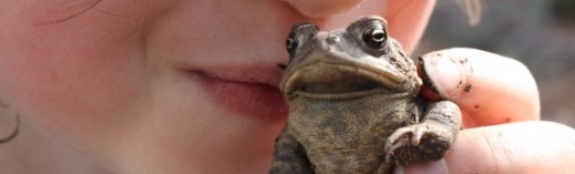 toad kiss